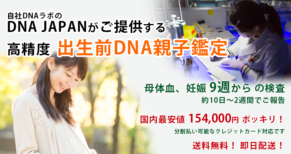 出生前dna鑑定 138 000円ポッキリ 国内最安値 Dna鑑定と遺伝子検査のdna Japan