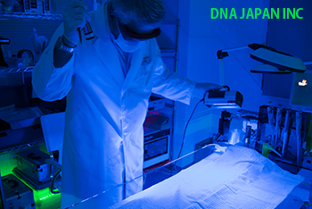 DNA個人識別