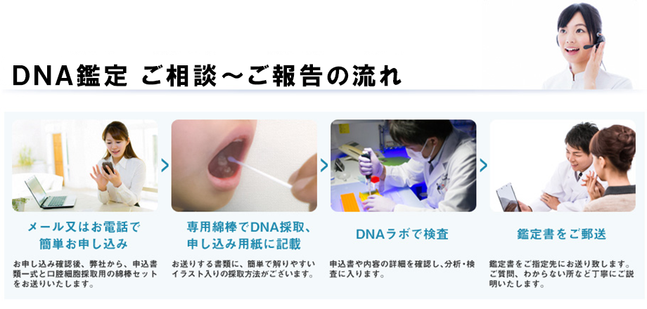 DNA鑑定～ご相談の流れ　メール又はお電話で簡単お申し込み・専用綿棒でDNA採取・DNAラボで検査・鑑定書をご郵送
