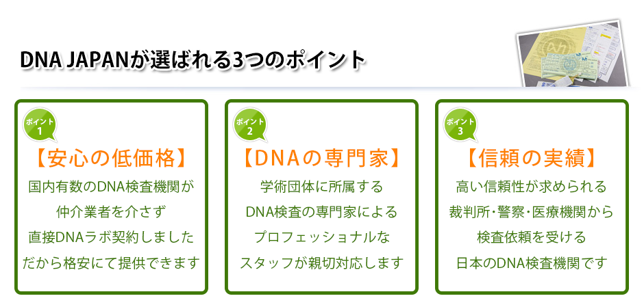 出生前dna鑑定 138 000円ポッキリ 国内最安値 Dna鑑定と遺伝子検査のdna Japan