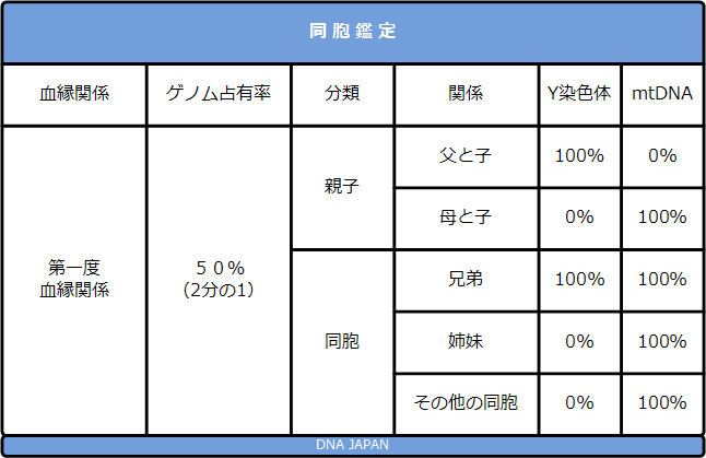 Dna鑑定の血縁関係の種類 Dna鑑定と遺伝子検査のdna Japan