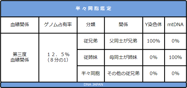 半々同胞鑑定