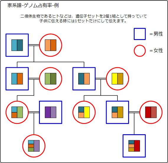 Dna鑑定の血縁関係の種類 Dna鑑定と遺伝子検査のdna Japan