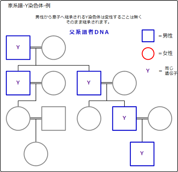 家系譜-ゲノム占有率-略例