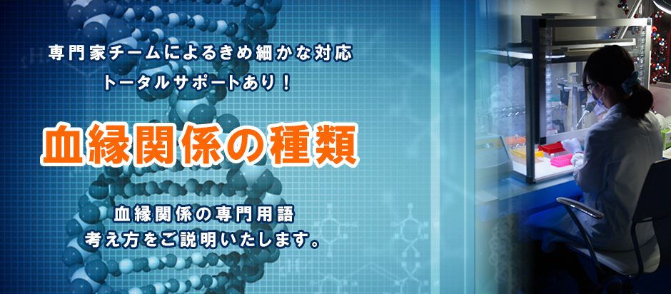 血縁関係の種類