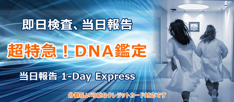 即日検査、当日報告 超特急!DNA鑑定